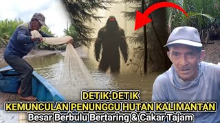 MUNCULNYA PENUNGGU HUTAN KALIMANTAN SAAT KAMI MENJALA UDANG [upl. by Otto]