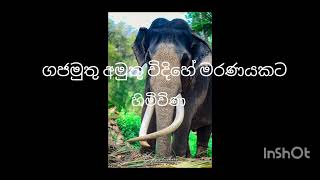 ගජිදානෝ තේජ ලීලා  මනක්කල්පිත  Lyrics by sithum perera ❤️❤️❤️❤️ [upl. by Ylrevaw]