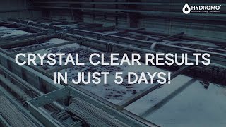 Crystal Clear Results In Just 5 Days  STP  SEWAGE TREATMENT PLANT  HYDROMO [upl. by Eppilihp]