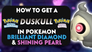 How To Get A Duskull In Pokemon Brilliant Diamond amp Shining Pearl [upl. by Leavelle]