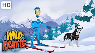 Wild Kratts  Mountain RACE  NATURE [upl. by Matthus]