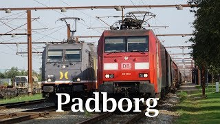 3 Godstog på Padborg station [upl. by Oakley]