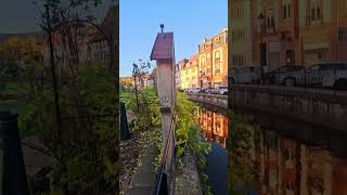 Wissembourg france walking tour [upl. by Elimaj725]