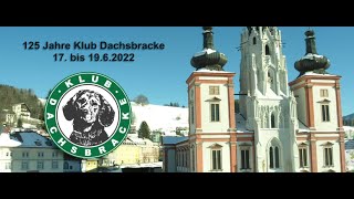 125 Jahre Klub Dachsbracke [upl. by Elleivap933]