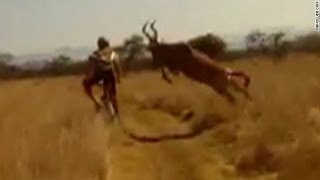 Survival of the fittest Antelope vs Cyclist edition [upl. by Quinta324]