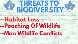 Threats To Biodiversity  Habitat Loss  Poaching Of Wildlife  Man Wildlife Conflicts [upl. by Uriel204]