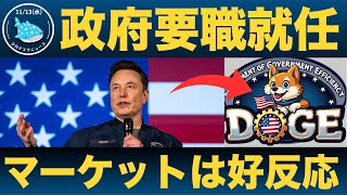 【反転上昇の兆し！】イーロンが政府効率化省DOGEのトップに就任！！ [upl. by Gunner]