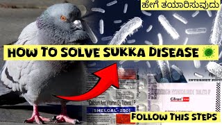 How to cure salmonellosis sukka 🦠 with simple steps explained by Nimmasivaraj pigeon youtube [upl. by Pahl]