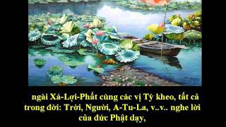 Tụng Kinh Phật A Di Đà Nghĩa  Thích Trí Thoát tụng [upl. by Ynnoj45]