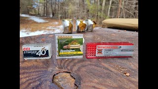 Which brand of 22 LR ammo will do the most damage [upl. by Newbold]