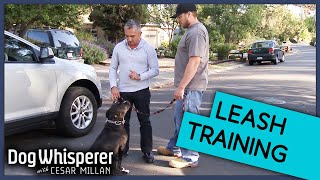 Cesar Millan Trains Aggressive Pit Bull To Walk On Leash  Dog Whisperer [upl. by Ultun]