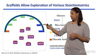 Kristala L J Prather MIT Part 2 Teaching an Old Bacterium New Tricks [upl. by Coward]