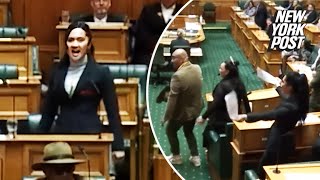 Fury in Parliament MPs booted from House as Treaty Bill passes first reading Stuff co nz [upl. by Audre]