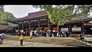 Świątynia Meiji Shrine [upl. by Priestley231]