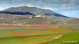 CASTELLUCCIO DI NORCIA  LA FIORITURA 2020  4k [upl. by Laird]