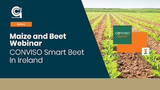 Goldcrop  Maize and Beet Webinar [upl. by Thea]