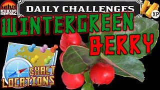 Wintergreen Berry Locations RDR2 Online Daily Challenge Location Guide Red Dead Redemption 2 [upl. by Oynotna]