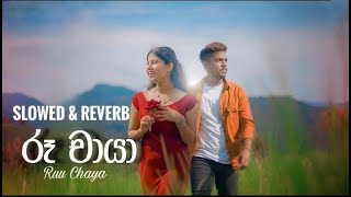 Ruu Chaya  රූ චායා Slowed amp reverb slowed feel reverb [upl. by Julee]