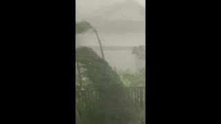 Wind is insane in Palm Beach Gardens shorts HurricaneMilton [upl. by Maisie]