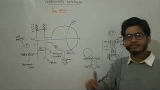 L13 Chemiosmotic Hypothesis by Peter Mitchell ATP synthesis by FoF1 particle [upl. by Esyla]