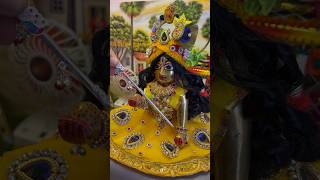 Laddu gopal ji ki chati sewa 🌸😘shyam kanhiya harekrishna krishna kanhajichati krishnastatus [upl. by Emanuel]