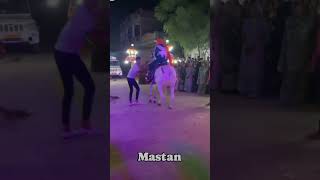 Mastan का नागिन dance कैसा लगाmastani horse farm short video viraldance youtubeshorts [upl. by Crifasi]