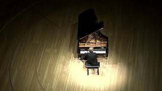 Rudolf Buchbinder  Ludwig van Beethoven  Pathétique  Elbphilharmonie  20201013 [upl. by Enyamart290]