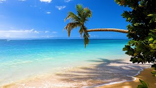 Island Relaxation Tropical Beach Ambience amp Ocean Sounds For Deep Sleep 4K Video [upl. by Ribaudo]