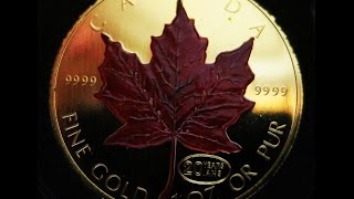 Canada 1999 Maple Leaf Gold Set Numismatic Bullion AMAZING ONLY 500 MINTED [upl. by Gnous427]