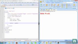 How to Target IE6 IE7 and IE8 Uniquely [upl. by Walburga]