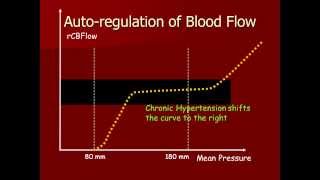 Autoregulation of Cerebral Blood [upl. by Larner]