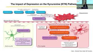 Rodrigo Machado  Kynurenine pathway and biomarkers of response [upl. by Htebesile]