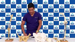 Bone Cancer  Dr Suman M B [upl. by Courcy]