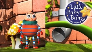 Incy Wincy Spider  LittleBabyBum  Nursery Rhymes for Babies ABCs and 123s  LBB [upl. by Janka]