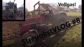 ACKERN  Pflügen  Case IH 533 StreuobstVLOG 8 [upl. by Hoag]