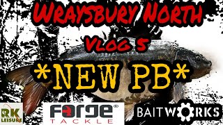 Carp Fishing  Wraysbury Vlog 5  NEW PB 2019 [upl. by Tyne196]