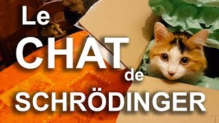 LE CHAT DE SCHRÖDINGER  PAROLE DE CHAT [upl. by Aibat955]