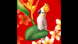 Hawaiishirt quotFlower Parrotsquot  voller bunter Papageien [upl. by O'Conner]