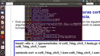 Análisis de RNAseq mapeo con HISAT2 ensamblado y cuantificación con STRINGTIE [upl. by Adnohsar]