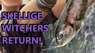 Skellige Witchers Are Back But With A Golden Twist [upl. by Anassor939]