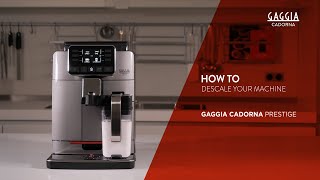 HOW TO DESCALE YOUR GAGGIA CADORNA PRESTIGE [upl. by Cia]