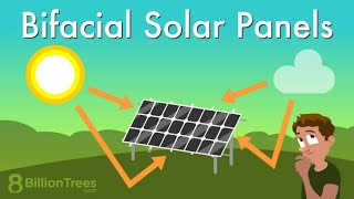 Bifacial Solar Panels  How it works [upl. by Gautious]