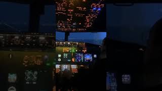 Landing at Perpignan Airport in a 737 simulator aviation [upl. by Ilaw]