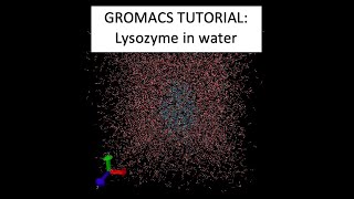 GROMACS Tutorial 1 Lysozyme in water [upl. by Yrrehs159]