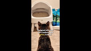 Cleaning your cat’s litter box just got way easier [upl. by Aala706]