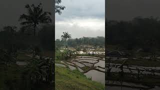 PEMANDANGAN INDAH DI IRINGI LAGU MAHAL [upl. by Nnylarej]