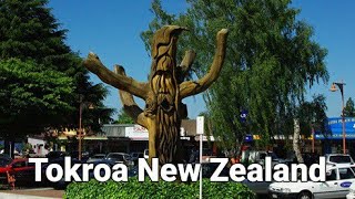 Drive Though the Town Centre of Tokoroa Waikato North IslandNew Zealand [upl. by Nesnah]