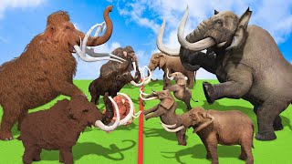 Woolly Mammoth vs Mastodon  Who Would Have Won a Fight Prehistoric Mammals VS Prehistoric Animals [upl. by Bal]