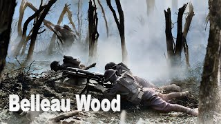 Battle of Belleau Wood  Where the US Marine Corps came of age and gained their fearsome reputation [upl. by Caresse494]