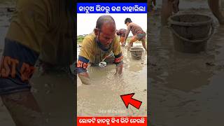 କାଦୁଅ ଭିତରୁ କଣ ବାହାରିଲା story gapa ytshort shorts facts viralvideo amazingfacts natia short [upl. by Ahseret227]